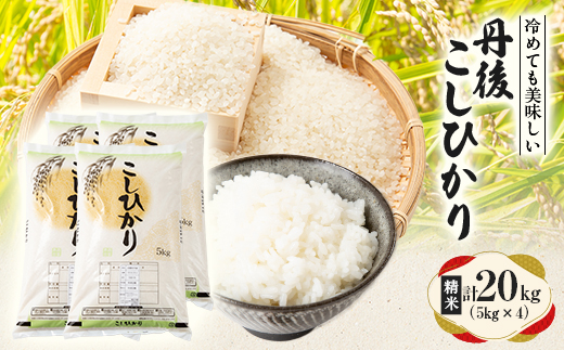 【令和7年産米】京都府与謝野町産 丹後コシヒカリ 精米20kg　もちもち食感が特徴のおいしいお米【1686755】