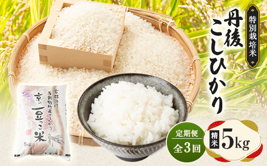 【毎月定期便】京都府与謝野町産 丹後コシヒカリ 精米5kg　特別栽培米 京の豆っこ米全3回【4083191】