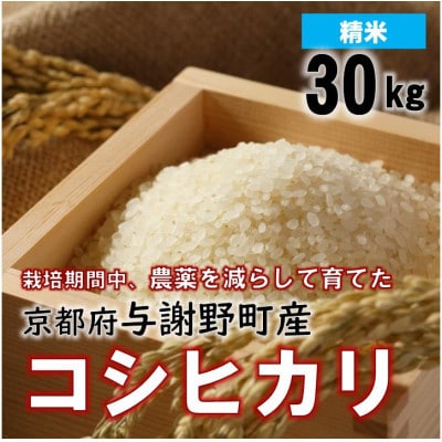 京都丹後産コシヒカリ 精米30kg 栽培期間中、農薬を減らして育てたお米　農家直送【1737555】