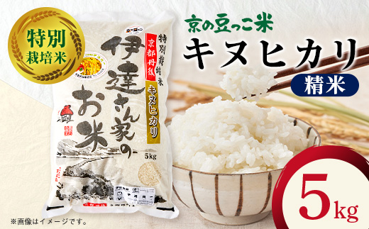令和7年産米　特別栽培キヌヒカリ「京の豆っこ米」精米5kg　京都与謝野町　【伊達農園】　数量限定【1684174】