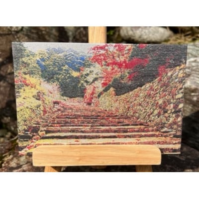 御城印帳(安土城)【1666406】