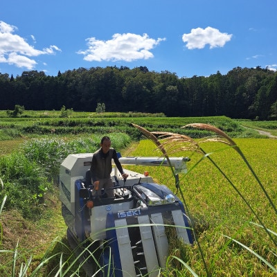 【毎月定期便】大江山蛇紋岩成分の影響を受けたミネラル豊富な棚田で育ったコシヒカリ精米5kg全3回【4057576】