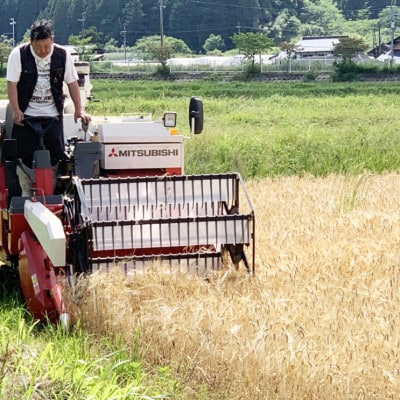 数量限定!令和7年産 自然循環農業で育った京都与謝野町産コシヒカリ「京の豆っこ米」　玄米30kg【1712594】