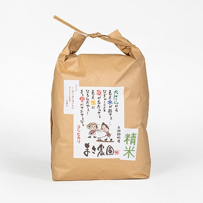 【毎月定期便】大江山蛇紋岩成分の影響を受けたミネラル豊富な棚田で育ったコシヒカリ精米5kg全3回【4057576】