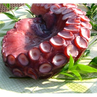 京都府産　タコ足　1本(冷凍:鮮度抜群真空パック)【共通返礼品】【配送不可地域：離島】【1045456】