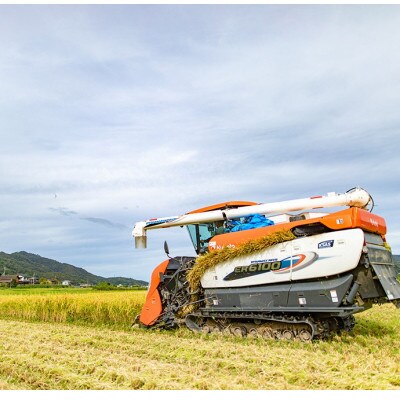 【毎月定期便】「京の豆っこ米」精米5kg　低農薬コシヒカリ　京都与謝野町　【伊達農園】全6回【4074806】