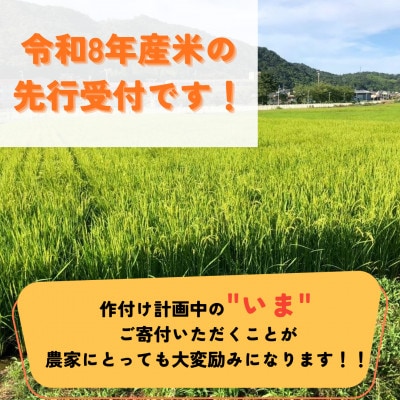 【先行受付】令和8年産米 京都府与謝野町産 丹後コシヒカリ 精米4kg もちもち食感が特徴のお米【1720684】