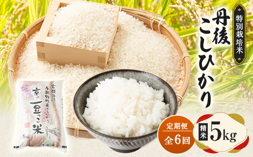 【毎月定期便】京都府与謝野町産 丹後コシヒカリ 精米5kg　特別栽培米 京の豆っこ米全6回【4083192】