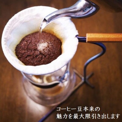 【毎月定期便】コーヒー豆　グァテマラ ウエウエテナンゴファンシー　200g×2　遠赤外線焙煎全6回【配送不可地域：離島】【4063192】