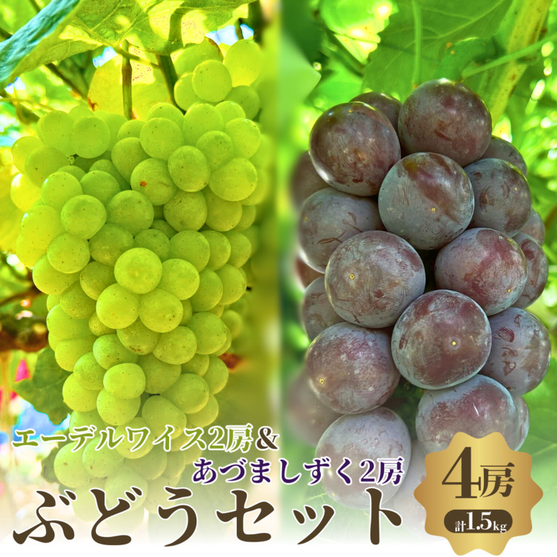 先行予約 数量限定 エーデルワイス 4房 (各2房) セット ぶどうセット あづましずく 詰め合わせ 葡萄 ぶどう 食べ比べ フルーツ 果物 高糖度 くだもの 大阪 大阪府 岸和田市