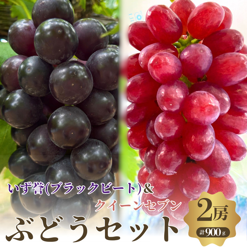 先行予約 数量限定 クイーンセブン 泉湧誉 2房 ぶどうセット 詰め合わせ 葡萄 ぶどう ブドウ 食べ比べ フルーツ 果物 高糖度 季節のフルーツ 大阪 大阪府 岸和田市
