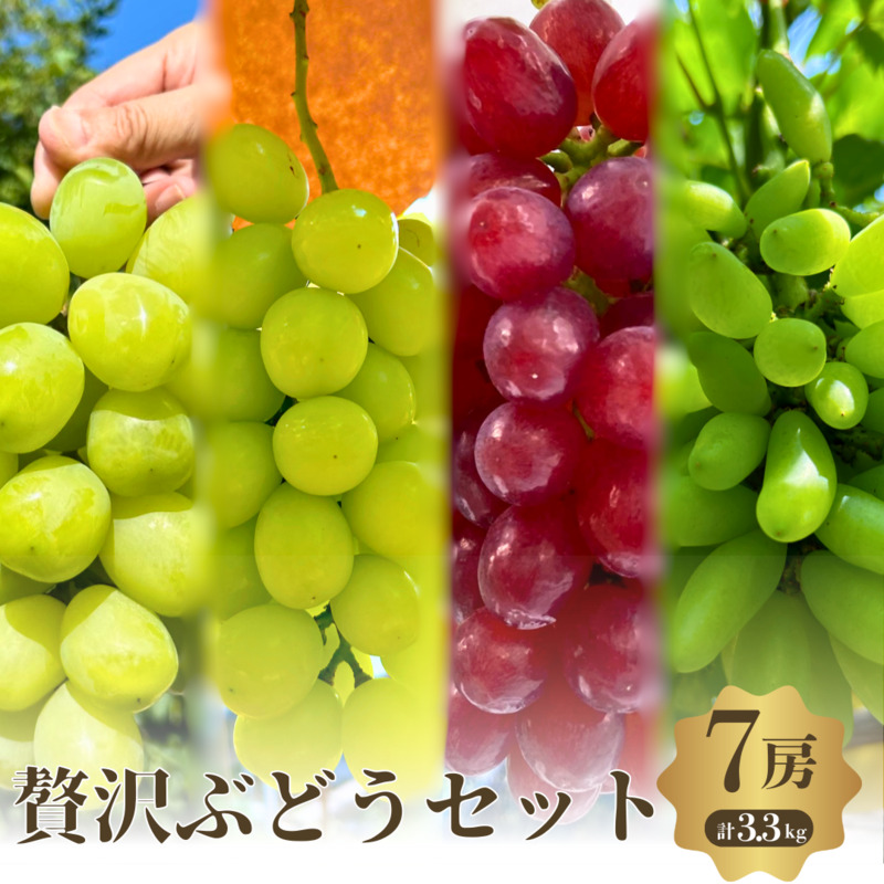 先行予約 数量限定 シャインマスカット 4種 7房 セット 食べ比べ 極旨 ぶどうセット 詰め合わせ 葡萄 ぶどう ブドウ マスカット フルーツ 果物 高糖度 旬の果物 大阪 大阪府 岸和田市