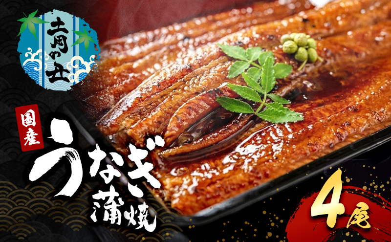 2026先行予約【7月発送】国産うなぎ蒲焼 4尾 (960g～1kg) 国産 うなぎ ウナギ 鰻 国産うなぎ 国産鰻 うなぎの蒲焼 鰻の蒲焼 うなぎの蒲焼き 鰻の蒲焼き 蒲焼き 惣菜 魚 魚介 魚介類 大阪 大阪府 岸和田市