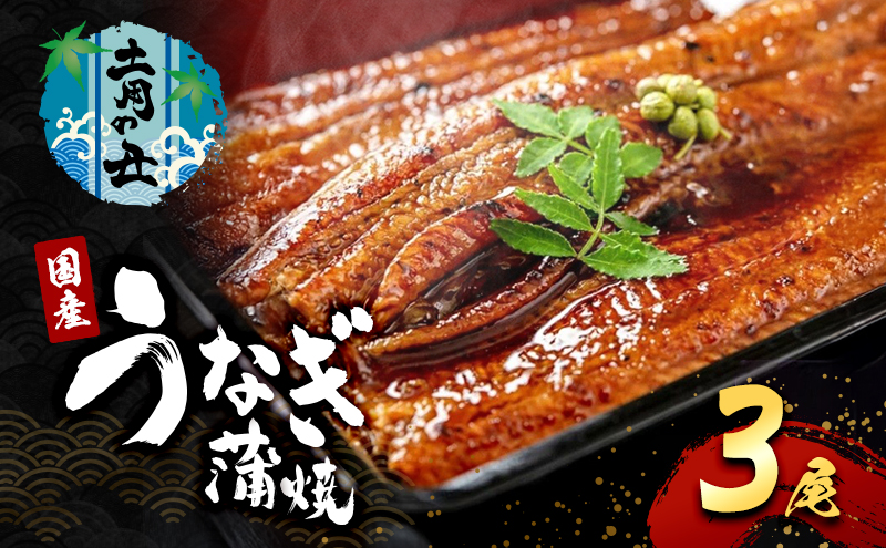 2026先行予約【7月発送】 国産うなぎ蒲焼 3尾 (720g～750g) 国産 うなぎ ウナギ 鰻 国産うなぎ 国産鰻 うなぎの蒲焼 鰻の蒲焼 うなぎの蒲焼き 鰻の蒲焼き 蒲焼き 惣菜 魚 魚介 魚介類 大阪 大阪府 岸和田市