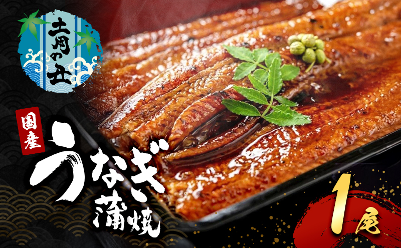 2026先行予約【7月発送】 国産うなぎ蒲焼 1尾 (240g～250g) 国産 うなぎ ウナギ 鰻 国産うなぎ 国産鰻 うなぎの蒲焼 鰻の蒲焼 うなぎの蒲焼き 鰻の蒲焼き 蒲焼き 惣菜 魚 魚介 魚介類 大阪 大阪府 岸和田市