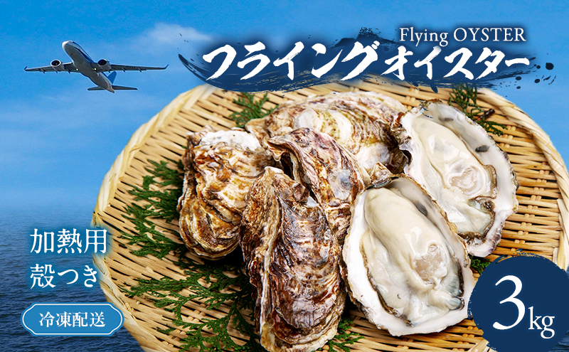 殻付き 牡蠣 3kg 冷凍 加熱用 (約33個〜60個) フライングオイスター 調理方法付き かき カキ 貝 海鮮 鍋 BBQ カンカン焼き ガンガン焼き 蒸し牡蠣 焼き牡蠣 カキフライ おかず 惣菜 フライ 冷凍配送 大阪府 岸和田市