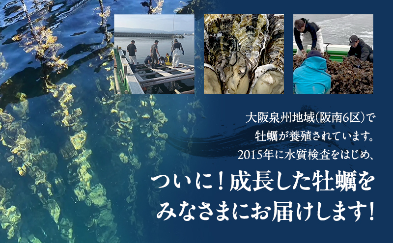 殻付き 牡蠣 4kg 冷凍 加熱用 (約44個〜80個) フライングオイスター 調理方法付き かき カキ 貝 海鮮 鍋 BBQ カンカン焼き ガンガン焼き 蒸し牡蠣 焼き牡蠣 カキフライ おかず 惣菜 フライ 冷凍配送 大阪府 岸和田市