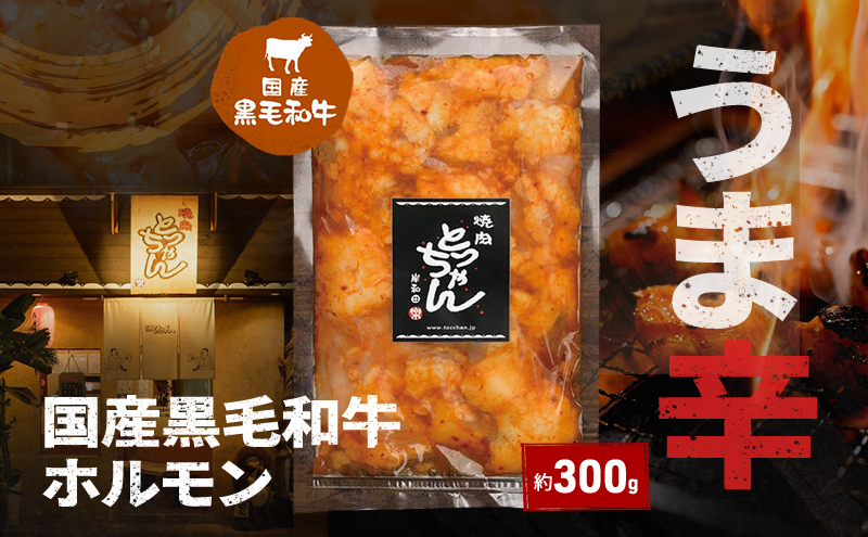 うま辛 国産黒毛和牛ホルモン約300g | 牛肉 和牛 焼肉 BBQ バーベキュー アウトドア 料理 国産