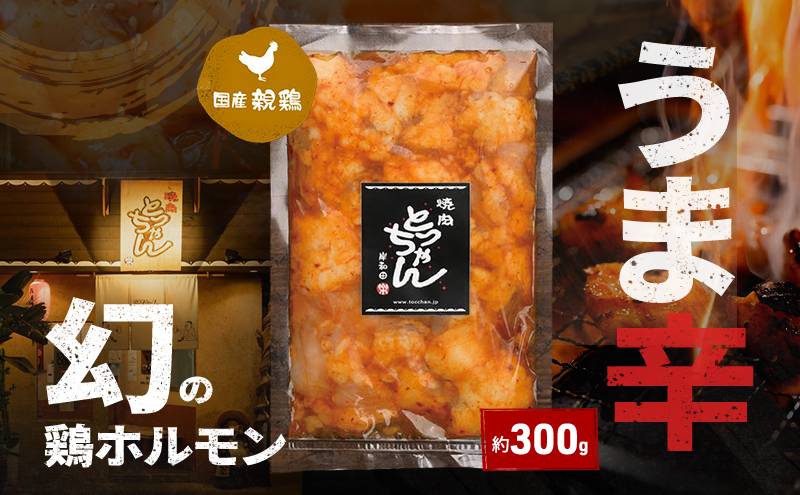 うま辛幻の鶏ホルモン約300g | 鶏肉 鶏  焼肉 BBQ バーベキュー アウトドア 料理 国産