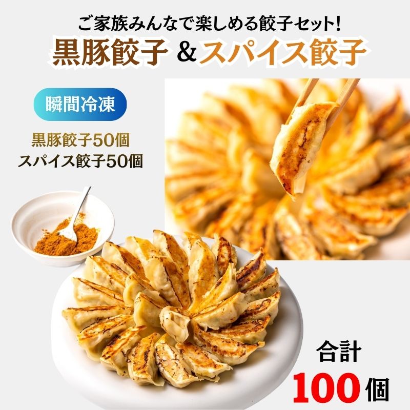 【瞬間生冷凍】スパイスと黒豚餃子 50個×2セット