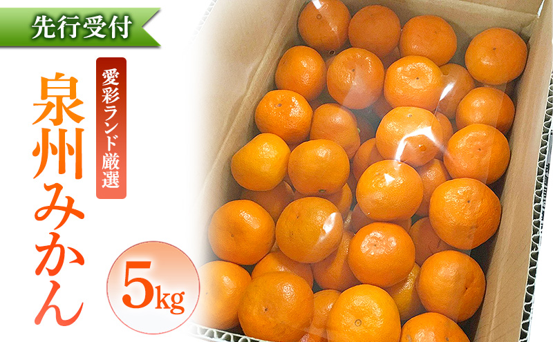 泉州みかん 5kg 先行予約 愛彩ランド厳選 ミカン みかん 蜜柑 【数量限定】フルーツ 果物 くだもの 柑橘 旬の味覚 お取り寄せ 冬ギフト 贈り物 ギフト 家庭用 大阪府 岸和田市