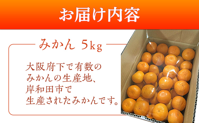 泉州みかん 5kg 先行予約 愛彩ランド厳選 ミカン みかん 蜜柑 【数量限定】フルーツ 果物 くだもの 柑橘 旬の味覚 お取り寄せ 冬ギフト 贈り物 ギフト 家庭用 大阪府 岸和田市