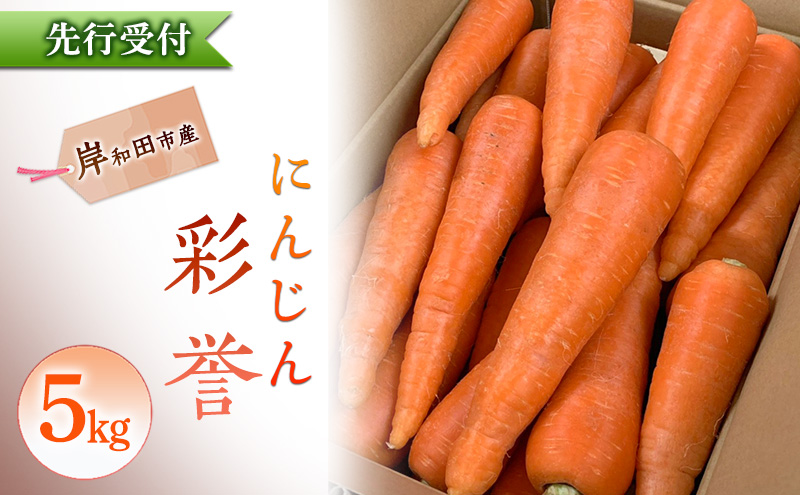 にんじん 5kg 彩誉 先行予約 人参 ニンジン 岸和田市産 ブランド野菜 【数量限定】高糖度 甘い 野菜ジュース スムージー キャロット 旬 野菜 産地直送 常備菜 料理 大阪府 岸和田市