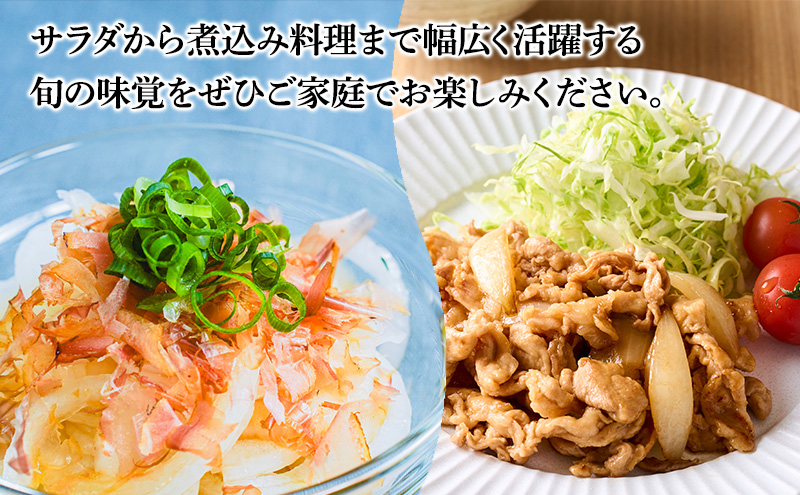 玉ねぎ10kg 野菜 玉葱 たまねぎ 泉州玉ねぎ 旬 旬の味覚 サラダ 料理 岸和田 岸和田市