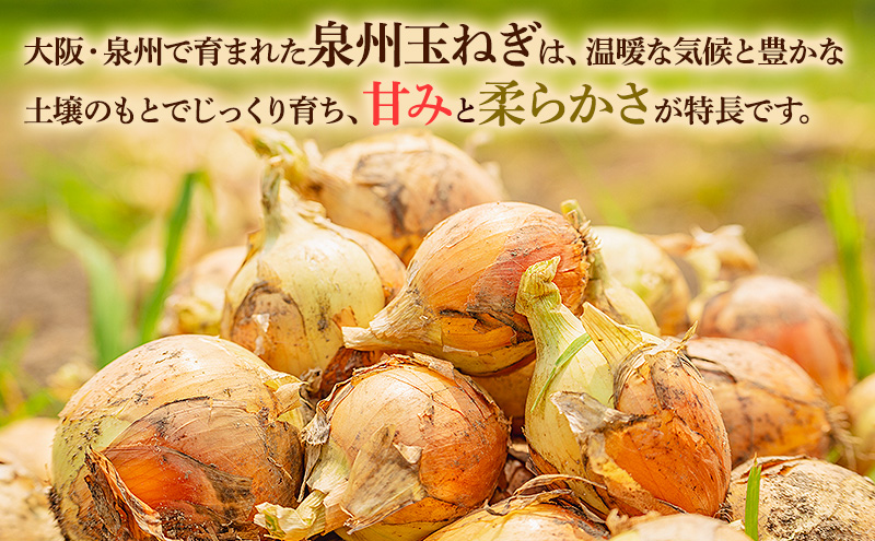 玉ねぎ10kg 野菜 玉葱 たまねぎ 泉州玉ねぎ 旬 旬の味覚 サラダ 料理 岸和田 岸和田市