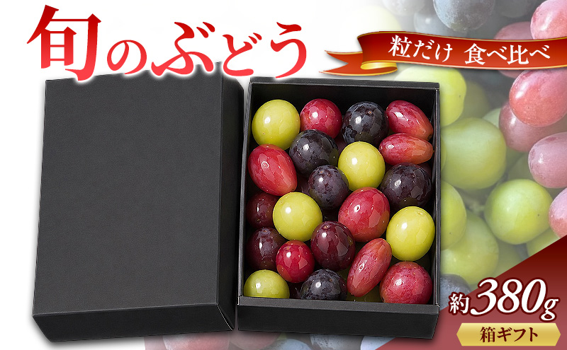 旬のぶどう 粒だけ 食べ比べ 箱ギフト 約380g 先行予約 産地直送 国産  ギフト 葡萄 ぶどう フルーツ 果物 数量限定 送料無料 人気 くだもの 期間限定