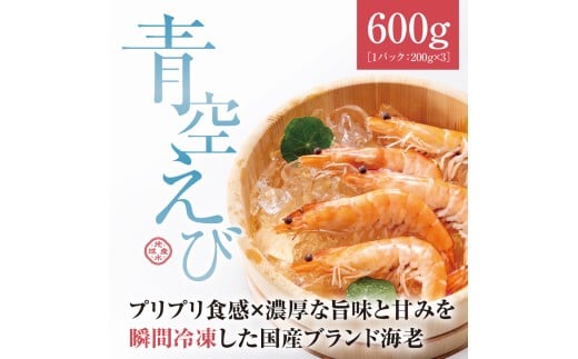 青空えび（和名：シロアシエビ）３パック入り / 海老 魚介類 冷凍 水産 食品 人気 おすすめ 送料無料【conn0002】