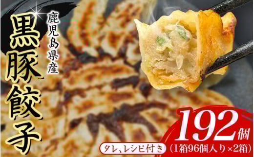 黒豚 冷凍餃子 192個 / ぎょうざ グルメ 人気 おすすめ 餃子 惣菜 豚 肉 お肉 ぎょーざ 高評価餃子 おかず 晩ご飯 食品 加工品 大阪府 豊中市 焼き餃子 焼餃子 人気ラーメン店 げんこつ【gnkt0003】