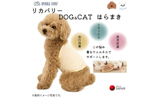 着るだけ 歩行サポート リラクゼーション オーガニックコットン 柔らかい ペット腹巻 Sサイズ　【ebns0013】