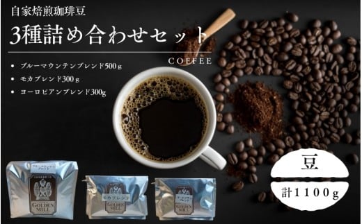 自家焙煎珈琲豆3種詰め合わせセット（合計1100ｇ）　豆【gdml0011】