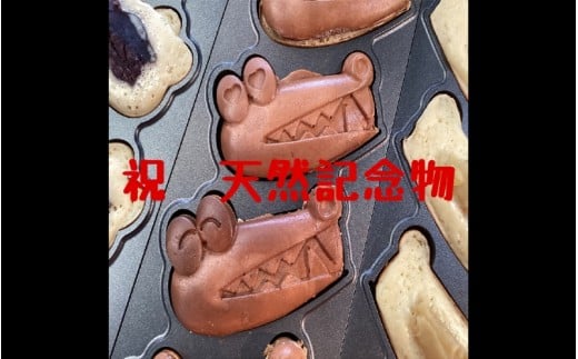 豊中マチカネ1015（あずき5匹）【tsms001】