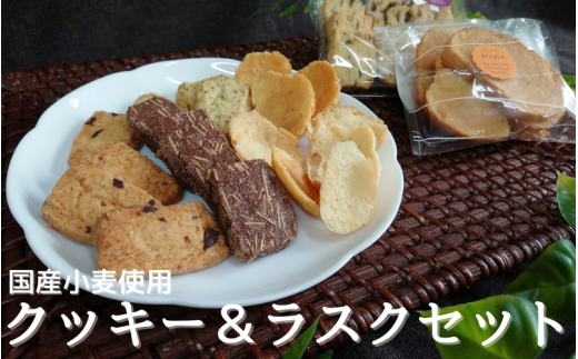 国産小麦を使用したクッキー＆ラスクセット / クッキー 紅茶 ココア アーモンド チョコ チップ くるみ レーズン 【csaz0001】