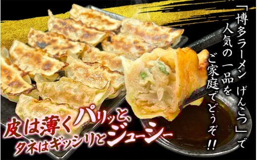 黒豚 冷凍餃子 96個 ぎょうざ グルメ 人気 おすすめ 餃子 惣菜 豚 肉 お肉 ぎょーざ 高評価餃子 おかず 晩ご飯 食品 加工品 大阪府 豊中市 焼き餃子 焼餃子 人気ラーメン店 げんこつ【gnkt0002】