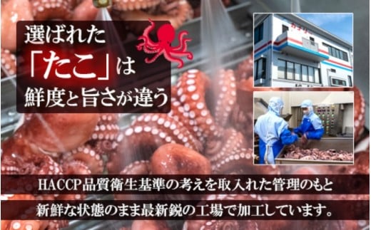 ＼大容量／ たこ 真蛸 蒸しボイル 約700g 1尾 蛸 タコ 刺身 刺し身 たこ焼き たこやき たこ飯 たこ刺し カルパッチョ 酢の物 まだこ サラダ パスタ 唐揚げ 人気 おすすめ おつまみ 海鮮 魚介【hane0009】