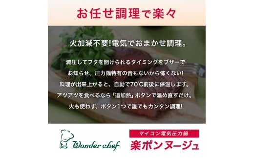 マイコン電気圧力鍋3.0Ｌ楽ポン ヌージュ【wdcf0009】