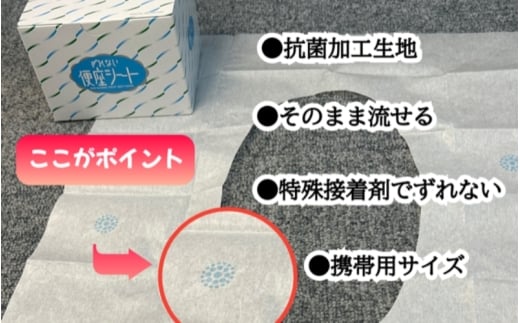 æèãæºåž¯çšãããªã䟿座ã·ãŒãã70æ/ç®±Ã4ç®±ãhane0012ã