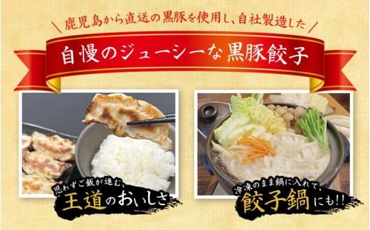 黒豚 冷凍餃子 192個 / ぎょうざ グルメ 人気 おすすめ 餃子 惣菜 豚 肉 お肉 ぎょーざ 高評価餃子 おかず 晩ご飯 食品 加工品 大阪府 豊中市 焼き餃子 焼餃子 人気ラーメン店 げんこつ【gnkt0003】