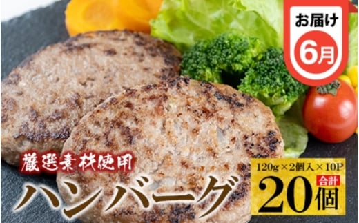 ãå®æäŸ¿ å
š4åããã ããã³ããã±ã»ãã³ããŒã°ã»ãã³ãã«ãã3ãæã«1åãå±ããhane0001-tkbã