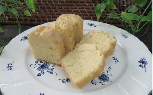 åœç£å°éºŠã䜿çšããã¯ãããŒïŒããŠã³ãã±ãŒãã»ãã / æŽèå ãèå çŒãèå ã¯ãã㌠ã±ãŒã ã»ãã è©°ãåãã ã»ãã é£ã¹æ¯ã¹ãcsaz0003ã