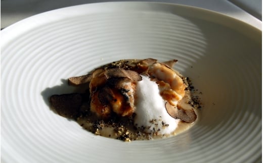 ã©ã»ã¡ãŸã³ãã©ã³ã·ã¥ ãã¢ãã£ããŒãã±ãã / ãã¬ã³ã ãé£äºåž è±äžåž ã㢠èšå¿µæ¥ ã¬ã¹ãã©ã³ãlmzn0001ã