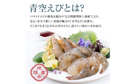青空えび（和名：シロアシエビ）３パック入り / 海老 魚介類 冷凍 水産 食品 人気 おすすめ 送料無料【conn0002】