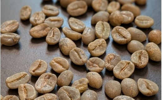 ASIAÃBEANS!ã¢ãžã¢ã®æ
ã³ãŒããŒã»çŒèåã®ããïŒäžåœé²åç·šïŒè±ã®æœãæ¹ïŒçްæœããhisa0014ã