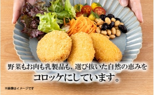 å³éžçŽ æäœ¿çšã³ããã±ãå®çª3çš®ã»ããã黿¯åçã»ã³ãŒã³ã¯ãªãŒã ã»magoããã£ãã(å5å)ãhane0004ã