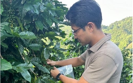 ASIAÃBEANS!ã¢ãžã¢ã®æ
ã³ãŒããŒã»çŒèåã®ããïŒäžåœé²åç·šïŒè±ã®æœãæ¹ïŒç²æœããhisa0012ã