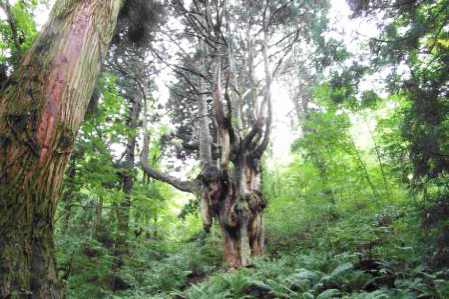 å°çæž©æå鲿¢ã®æšé²ã«é¢ããäºæ¥