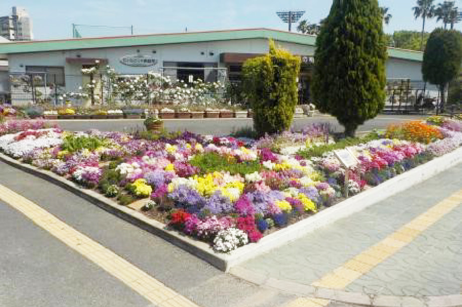 éœåžç·åã®æšé²åã³ç·ã®ä¿å
šã«é¢ããäºæ¥